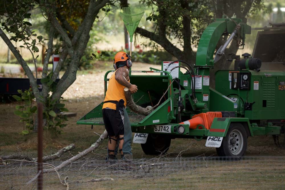 Image of worker using chipping/mulching machine