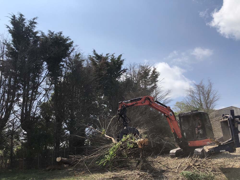 Image of a truck clearing tree on the land