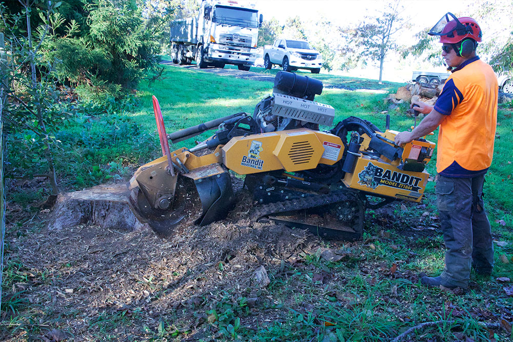 Stump Grinding Operation