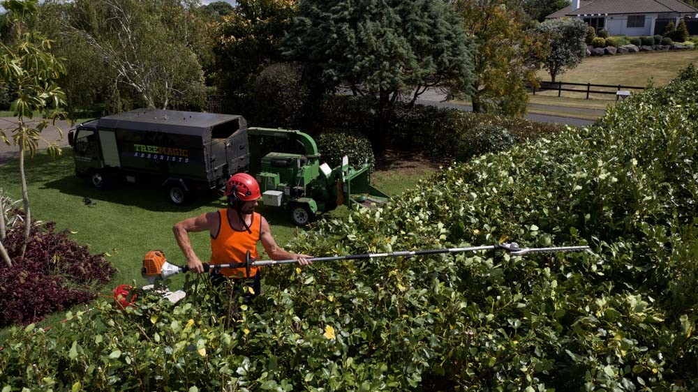 Image of worker trimming the hedge