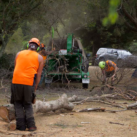 chipping mulching services in south auckland